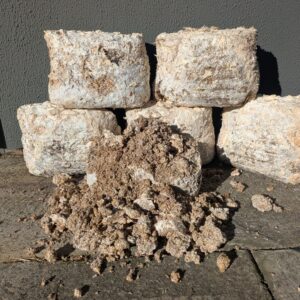Mushroom Compost